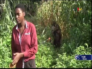 The 7:30pm TV News of July 16, 2023 on CRTV