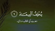 Surah Al Imran Ayah 09 __ quran whatsapp status __ islamic status