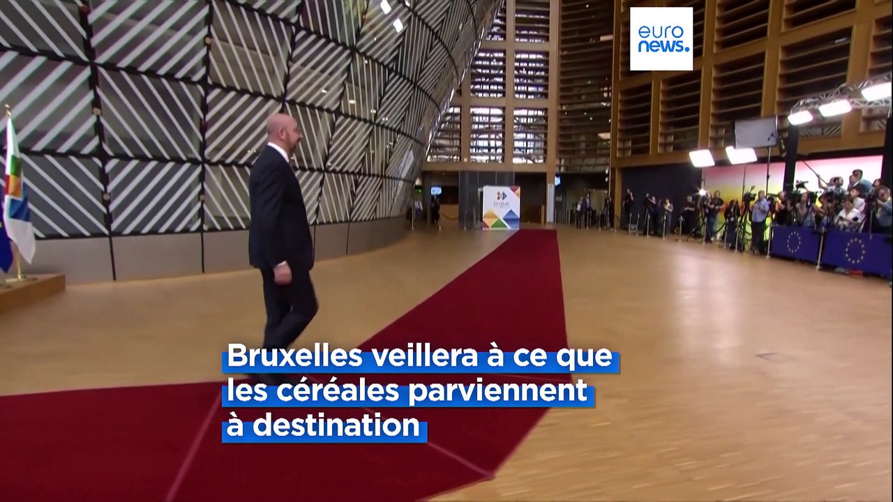 Céréales : Kyiv veut maintenir ses exportations sans la Russie