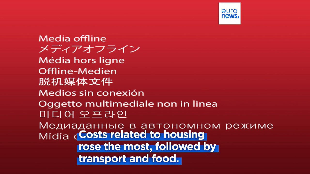 Cost of living crisis took its toll on EU households in 2022, new statistics show
