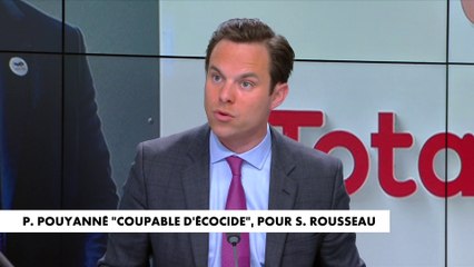 Louis de Raguenel : «Des écologistes, un peu ultras en France, sont les alliés objectifs de concurrents de Total»