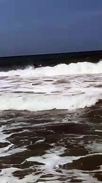 Lizzy, vita da cane eroe: salvataggio