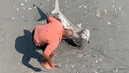 Shark Rescued From Fishing Net And Helped Back To Water | Wild-ish TV