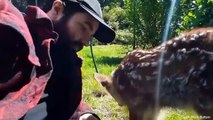 These Animals Found Their Own Way to Say “I Love You Human” - Part 2