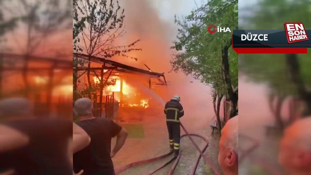 Düzce'de hayvanların son anda çıkartıldığı ahır alev alev yandı