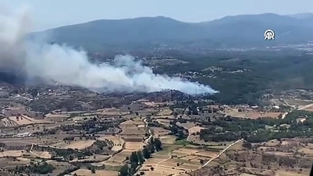 Muğla'nın Milas ilçesinde orman yangını çıktı