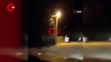 Ayı otomobilin önüne atladı, içindekilerin yüreği ağzına geldi