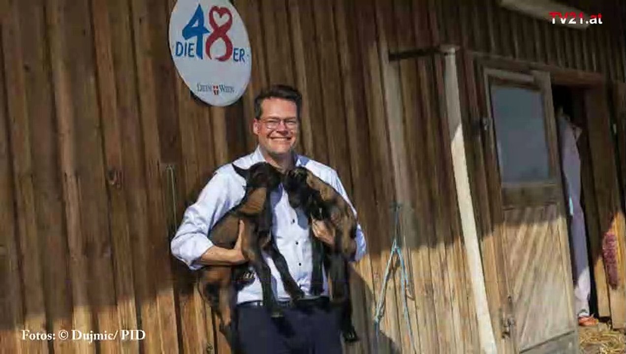 Wien Donaustadt | Ziegenbabys auf der Deponie
