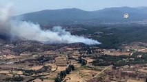 Un incendie de forêt s'est déclaré dans le quartier Milas de Muğla.