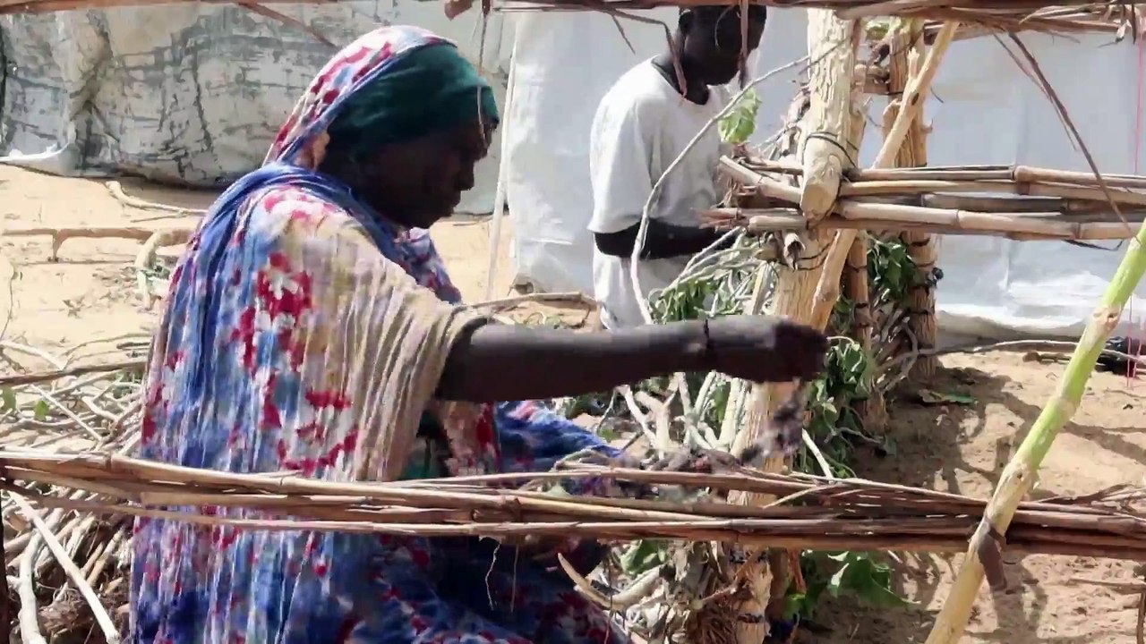 'The old die as well as the young' - Sudanese refugee says of war at home