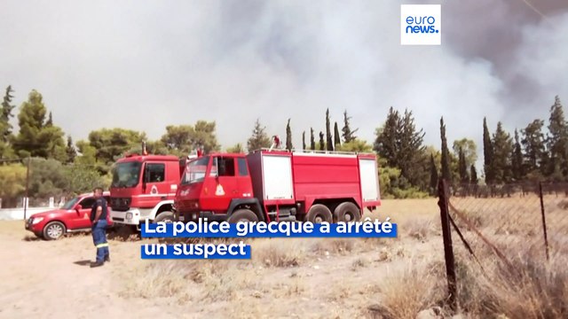 Le tour d'Europe des incendies en pleine vague de fortes chaleurs
