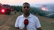 Tekirdağ'da Orman Yangını Kontrol Altına Alınmaya Çalışılıyor