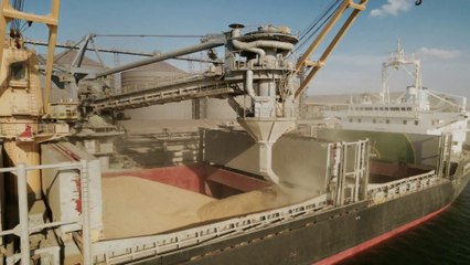 روسيا تقترح "البديل المستحيل" لتصدير الحبوب الأوكرانية.. ما هو؟