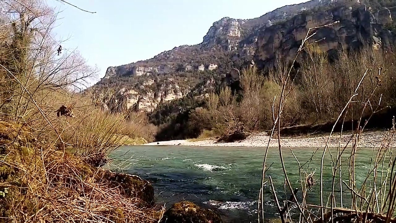 De Lascaux au Causse Mejean les chevaux de Przewalski