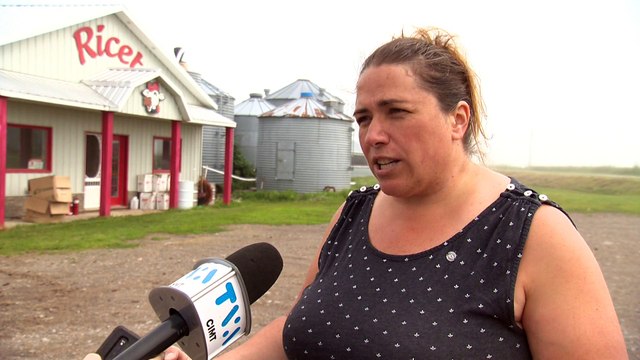 Nouveaux systèmes de collecte des plastiques agricoles implantés prochainement