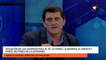 Situación de las cooperativas, el té, la yerba, la madera, el tabaco y otros sectores de la economía