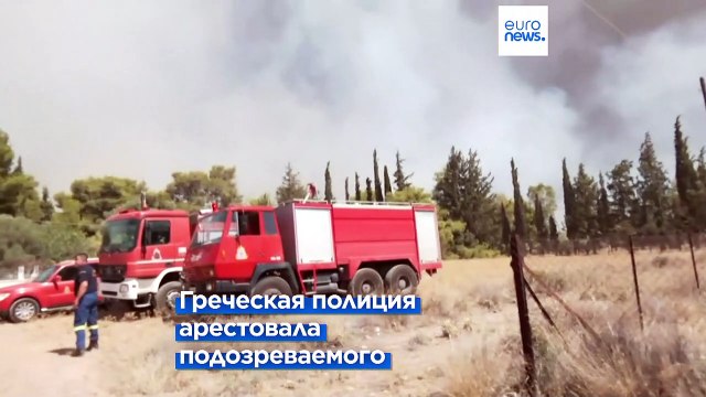 Пожары в Южной Европе из-за аномальной жары