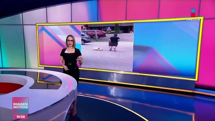 Perrito berrinchudo se vuelve viral