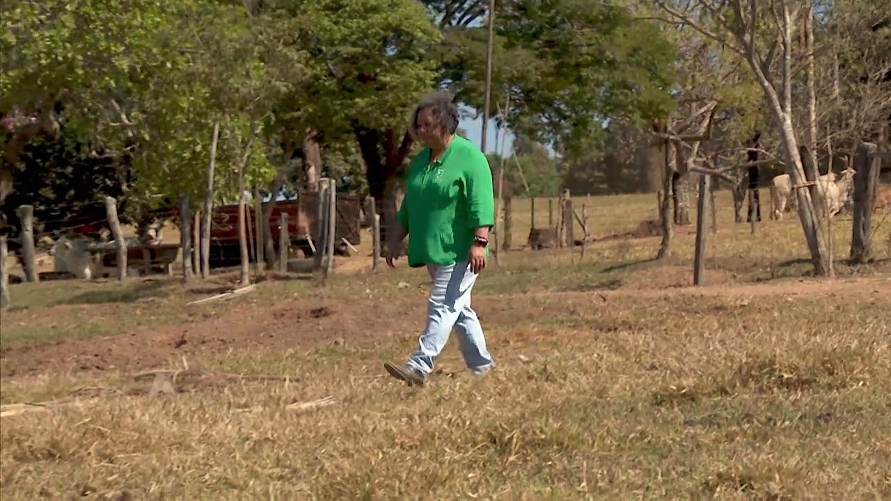 Agricultores da Europa e da América do Sul: dois mundos separados pelo mesmo acordo