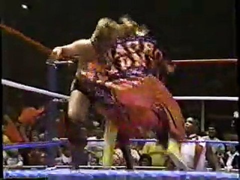 WWF MSG 5/27/88 #9 Randy Savage vs. Ted DiBiase
