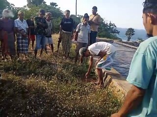Ritual Adat Menyelesaikan Konflik Pengelolaan Tambak