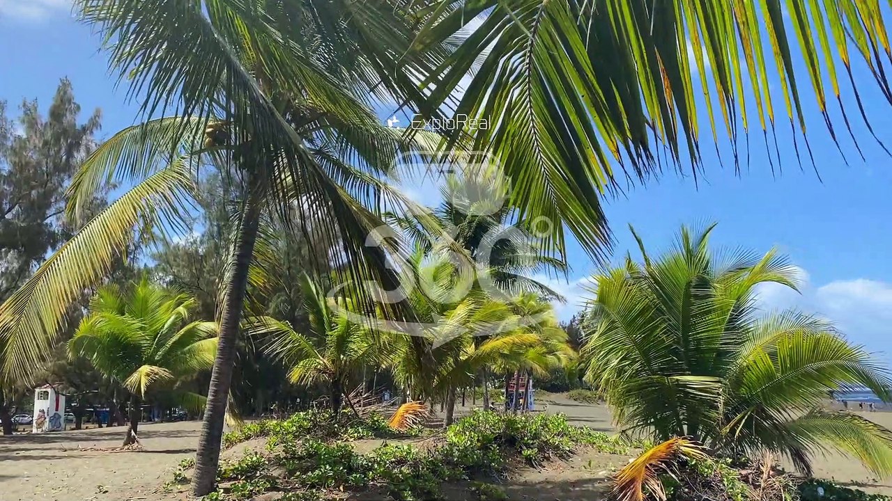 vidéo exploreal1