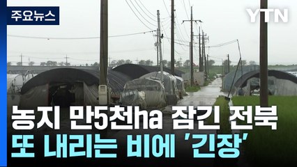 농지 만5천ha 물에 잠긴 전북...또 내리는 비에 '긴장' / YTN