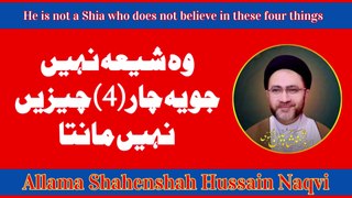 Wo SHIA nahi jo ye 4 cheezein nahi manta | وہ شیعہ نہیں جو یہ جار جیزیں نہیں مانتا | Allama Shahenshah Hussain Naqvi