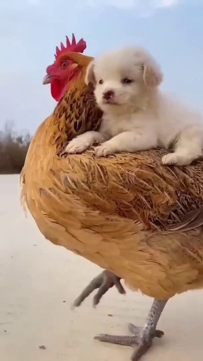 A beautiful moment