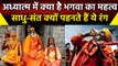 Saffron Colour in Hinduism: हिंदू धर्म में Bhagwa Color क्यों है खास | वनइंडिया प्लस #Shorts