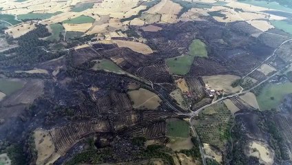 38 heures de retard dans le feu de forêt à Çanakkale ! Des flammes brûlaient partout, l'état final de la région est déplorable