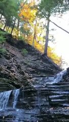 Amazing Miracle #shorts #viral #shortsvideo #video #innovationhub