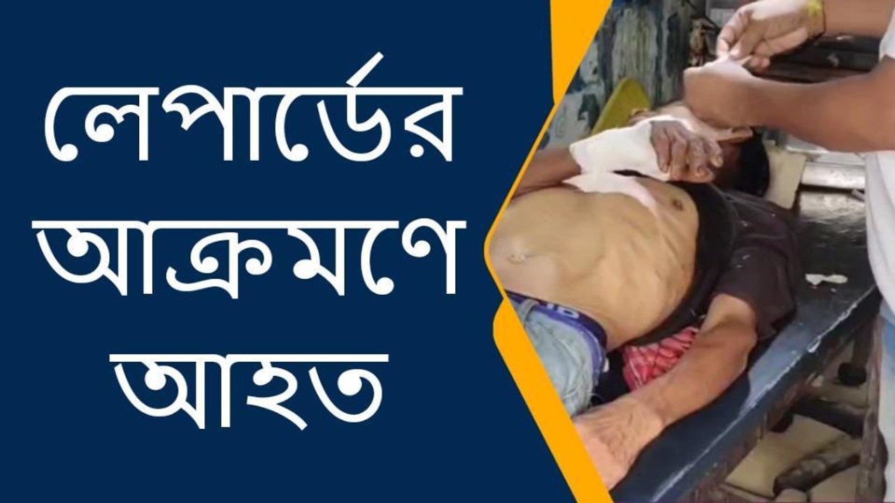 আলিপুরদুয়ার: অতর্কিতে হানা! রক্তাক্ত চা বাগান,...