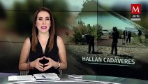 Impactante: 7 cuerpos hallados en fosa clandestina en Mexicali, Baja California