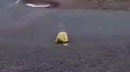 ಕಾಗವಾಡ: ಶಾಲೆ ಗೇಟ್ ಬಳಿ ಲಿಂಬೆ ಹಣ್ಣು - ಮಾಟ ಮಂತ್ರ ಭಯದಲ್ಲಿ ಮಕ್ಕಳು