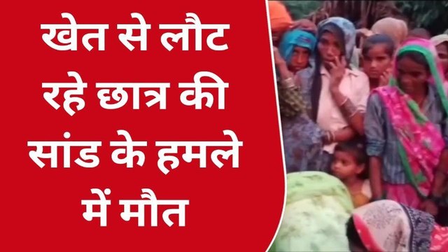 अमरोहा: सांड़ के हमले में कक्षा 6 के छात्र की दर्दनाक मौत, परिजनों में मचा कोहराम