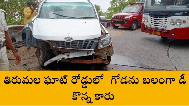 తిరుపతి: తిరుమల ఘాట్ రోడ్డులో ప్రమాదం... తప్పిన పెను ప్రమాదం