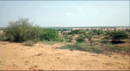 सेना ने दो बमों में विस्फोट कर किया डिस्पोजल