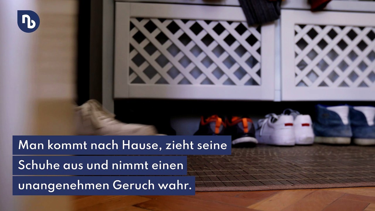 Gegen Gerüche: Teebeutel in die Schuhe legen