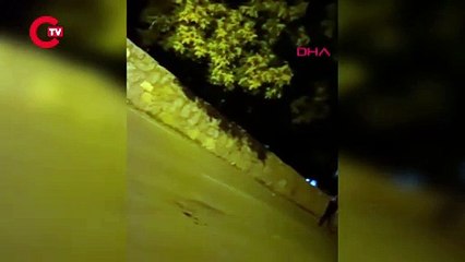 Düğün fotoğrafçısı ve oğulları, tartıştıkları damadın evini bastı: 2 ölü, 4 yaralı