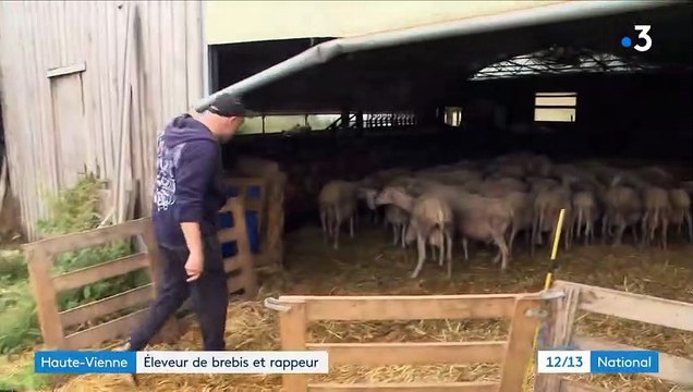 Insolite - Découvrez MaNTiS, un rappeur à succès qui est aussi ... éleveur de brebis! : C'était une manière de retourner les choses et les préjugés