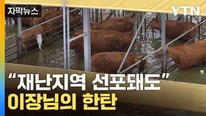 [자막뉴스] "소가 둥둥 떠다니고 나를 살리라고"...볼 수 없는 지경 / YTN