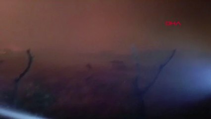 Diyarbakır Lice'de Orman Yangını Çıktı