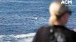 Dead whale off North Wollongong | July 17, 2023 | Illawarra Mercury