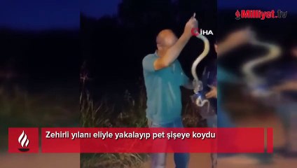 Kentte büyük panik! Zehirli yılanı eliyle yakalayıp şişeye koydu