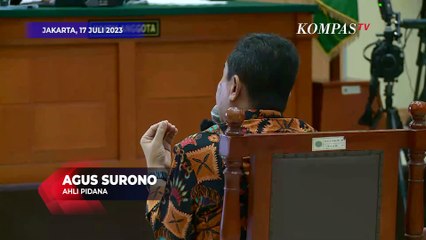 Ahli Pidana Bicara Kritik Disertai Kesopanan di Sidang Haris Azhar-Fatia