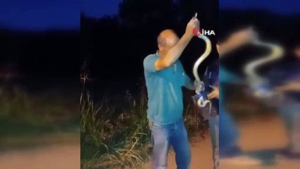 Bursa'da paniğe neden olan olay! Zehirli yılanı eliyle yakaladı