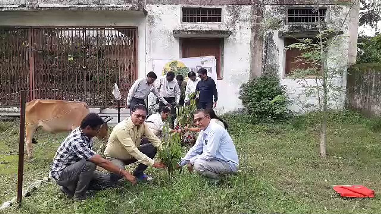 छायादार एवं औषधीय गुण वाले पौधे लगाए, देखभाल का...