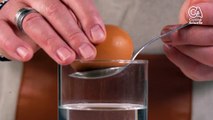 CUISINE ACTUELLE - Coup de pouce - L'astuce pour savoir si les œufs sont frais