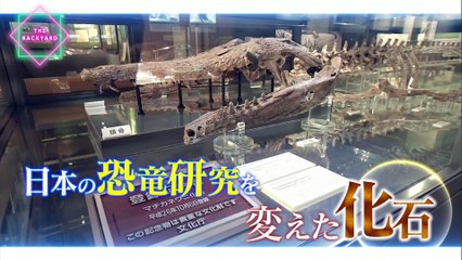 「大阪大学総合学術博物館」ザ・バックヤード